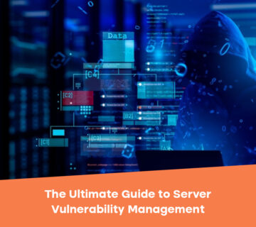 Server Vulnerability Management 