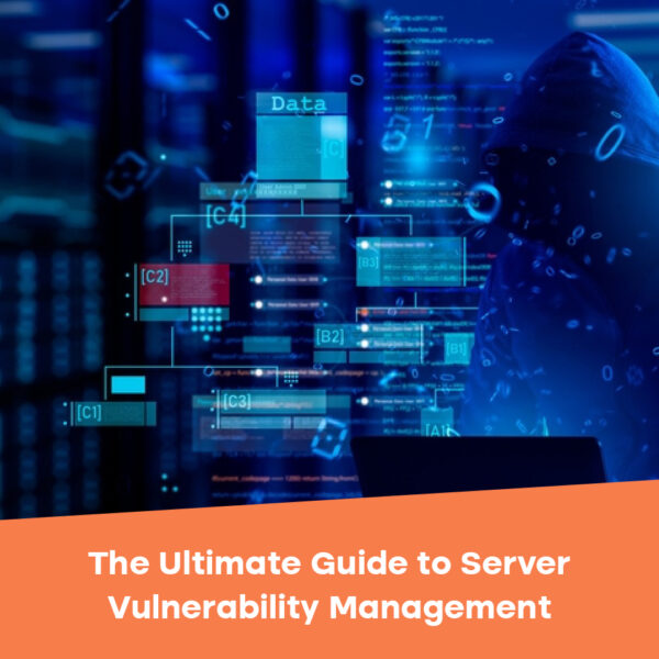 Server Vulnerability Management 