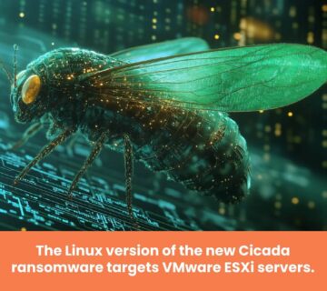 Linux version of Cicada ransomware